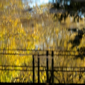 Untitled (46 Of 214).jpg